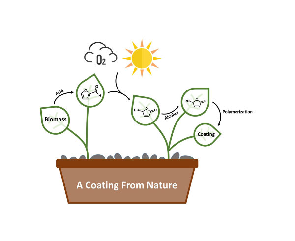 Greenhouse infographic